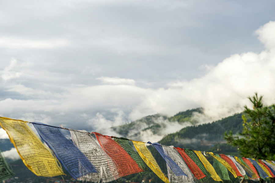 Article trekking bhutan