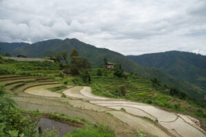 homestay bhutan