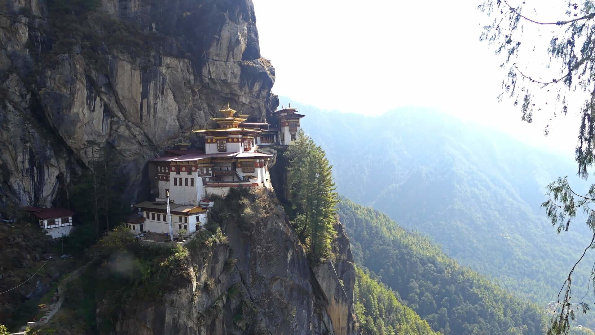 Page Tigers Nest