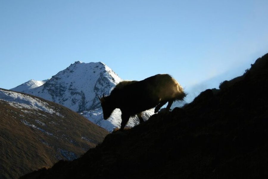 920426_654795244536973_172626231_o