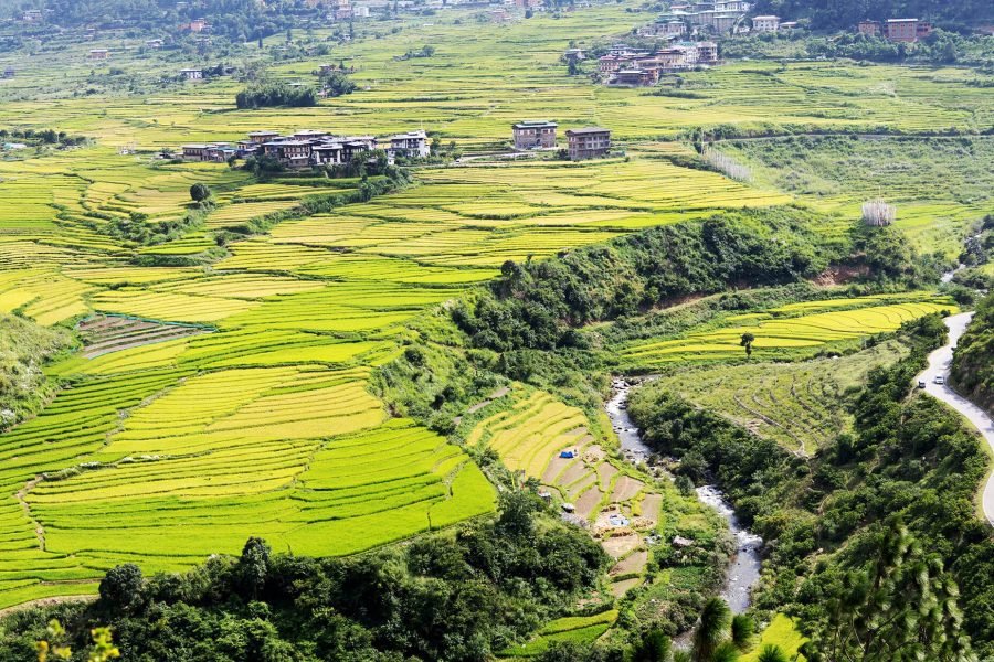 Culture and Nature marvels of Bhutan - featured