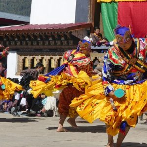 Festival tours - 40